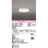 OL251751R 小型シーリングライト オーデリック 照明器具 シーリングライト ODELIC | 照明ポイント