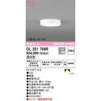 OL251758R 小型シーリングライト オーデリック 照明器具 シーリングライト ODELIC | 照明ポイント