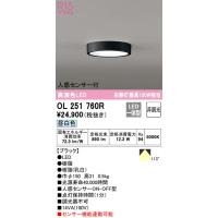 OL251760R 小型シーリングライト オーデリック 照明器具 シーリングライト ODELIC | 照明ポイント