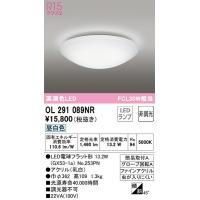 OL291089NR 小型シーリングライト オーデリック 照明器具 シーリングライト ODELIC | 照明ポイント