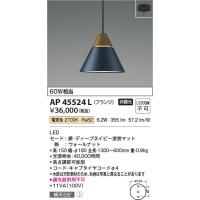 AP45524L ペンダント コイズミ照明 照明器具 ペンダント KOIZUMI_直送品1_ | 照明.net