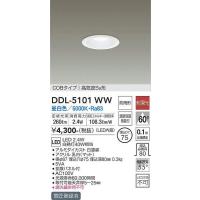 DDL-5101WW ダウンライト(軒下兼用) 大光電機 照明器具 ダウンライト DAIKO | 照明.net