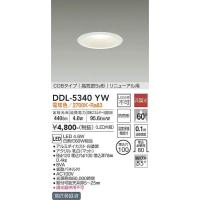 DDL-5340YW ダウンライト(軒下兼用) 大光電機 照明器具 ダウンライト DAIKO | 照明.net
