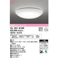 OL251816R シーリングライト オーデリック 照明器具 シーリングライト ODELIC_送料区分18 | 照明.net
