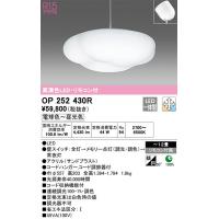 OP252430R ペンダントライト オーデリック 照明器具 ペンダント ODELIC_送料区分16 | 照明.net