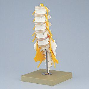 ソムソ 模型のおすすめ人気商品一覧 通販 - Yahoo!ショッピング