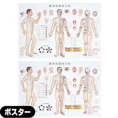鍼灸経絡経穴図のおすすめ人気商品一覧 通販 - Yahoo!ショッピング