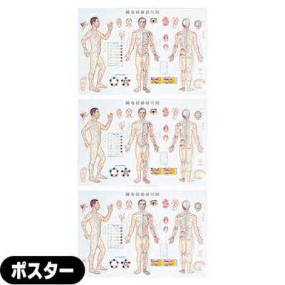 人体経絡図 掛軸　タンカペイント tower_6042319