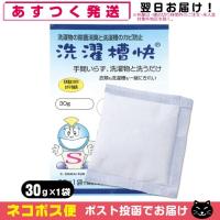 洗濯槽快 30g x1個 洗濯用洗浄補助用品 TAKENET テイクネット 「ネコポス送料無料」 | SHOWA 年中無休 土日祝日も発送