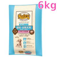 ニュートロ ナチュラルチョイス 避妊・去勢犬用　超小型犬〜小型犬用　成犬用　生後8ヶ月以上　チキン＆玄米　6kg（ND313） | Shukuran Pet