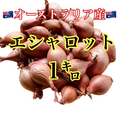 エシャロット スーパー（野菜） | 食品 のおすすめ人気商品一覧 通販