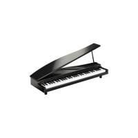 KORG MICROPIANO マイクロピアノ ミニ鍵盤61鍵 ブラック 61曲の