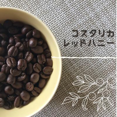 コスタコーヒーのおすすめ人気商品一覧 通販 - Yahoo!ショッピング