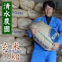 お米 玄米 10kg コシヒカリ 令和元年産 石川県白山市 １等 