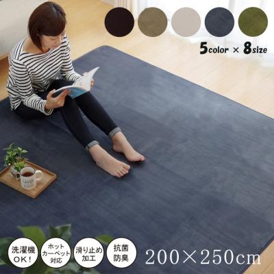青 赤（カーペット、ラグ、マット）（ラグ、マットサイズ：200cm×240cm