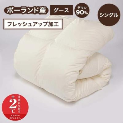 西川 羽毛布団 グースダウン（色：ホワイト系）のおすすめ人気商品一覧