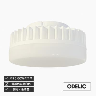 gx53 ldf5 電球色（照明、電球） | 家具、インテリア のおすすめ人気
