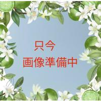 ランドリン 柔軟剤 ホワイトティーの香り 詰め替え 480ml | Maruko-store