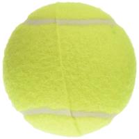 Be Active(ビーアクティブ) 硬式テニスボール 2P BA-5182 | Maruko-store