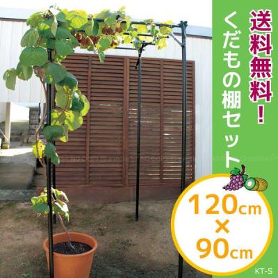 パイプ キウイ棚のおすすめ人気商品一覧 通販 - Yahoo!ショッピング