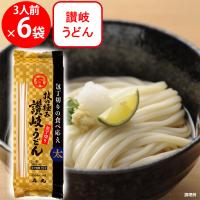 石丸製麺 技の極み 讃岐うどん包丁切り 300g×6個 | Smile Spoon