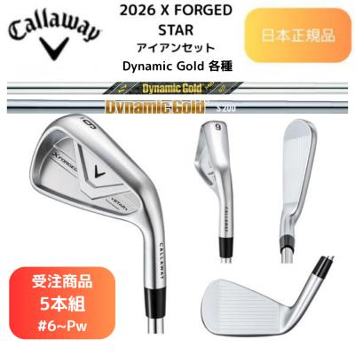 Callaway アイアンセット（シャフト素材：スチール系）｜クラブ
