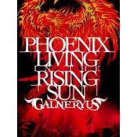 GALNERYUS／PHOENIX LIVING IN THE RISING SUN GALNERYUS | エスネットストアー