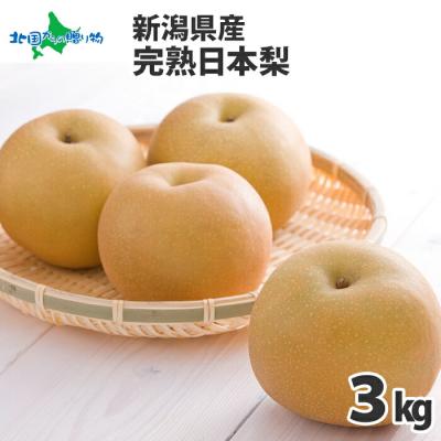 愛宕梨のおすすめ人気商品一覧 通販 - Yahoo!ショッピング