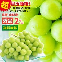 シャインマスカット 約2キロ 秀品 産地厳選 長野・山梨産 一房あたり約400〜800g 送料無料 ギフト 種なし 皮ごと 高糖度 大人気ぶどう 予約 超PayPay祭