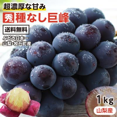 巨峰のおすすめ人気商品一覧 通販 - Yahoo!ショッピング