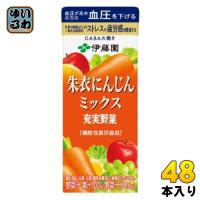 伊藤園 充実野菜 朱衣にんじんミックス 200ml 紙パック 48本 (24本入×2 まとめ買い) 野菜ジュース GABA 機能性表示食品 | いわゆるソフトドリンクのお店