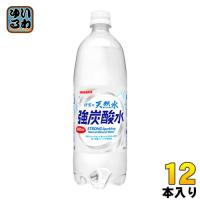 サンガリア 伊賀の天然水 強炭酸水 1L ペットボトル 12本入 〔炭酸水〕 | いわゆるソフトドリンクのお店