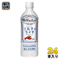 キリン 世界のKitchenから ソルティライチ 500ml ペットボトル 24本入 熱中症対策 | いわゆるソフトドリンクのお店
