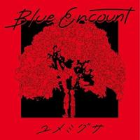 【おまけCL付】新品 ユメミグサ(初回生産限定盤) / BLUE ENCOUNT ブルーエンカウント (CDM+DVD) KSCL3255-SK | そふと屋プラチナ館