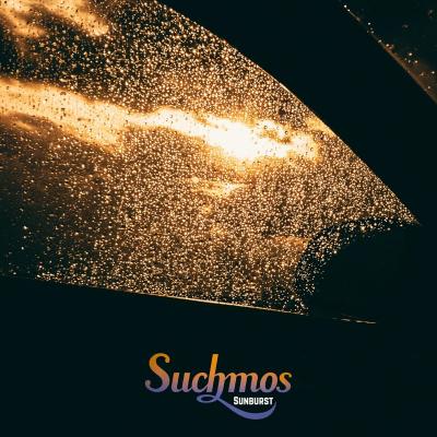 新品　Suchmos LP&12inch Amazon.co.jp: Suchmos The Bay Analog Record : Electronics