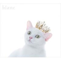 【おまけCL付】新品 BEST SELECTION “blanc"(初回生産限定盤A) / Aimer エメ (CD+Blu-ray) SECL-2139-SK | そふと屋プラチナ館