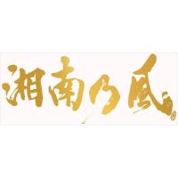 【おまけCL付】湘南乃風〜20th Anniversary BEST〜(初回生産限定盤) / 湘南乃風 (CD+DVD) UPCH7650 | そふと屋