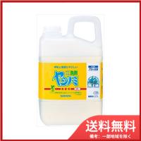 ヤシノミ洗剤業務用　2.7KG 送料無料 | SOHSHOP 2号店