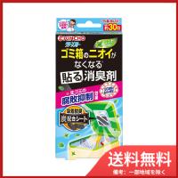 大日本除虫菊(金鳥) クリーンフロー ゴミ箱のニオイがなくなる 貼る消臭剤 ミントの香り 1個入 メール便送料無料 | SOHSHOP 2号店