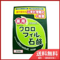 黒龍堂 薬用 クロロフィル石鹸 復刻版 85g 送料無料 | SOHSHOP