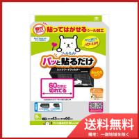 パッと貼る60センチ切れてるフィルター5枚 送料無料 | SOHSHOP