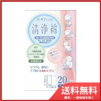 MPエムプライド清浄綿2枚×20包 送料無料 | SOHSHOP