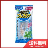 小林製薬 噛むブレスケアスッキリクールミント25粒　メール便送料無料 | SOHSHOP