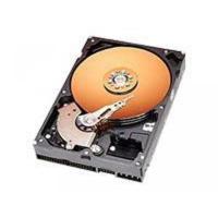 データストレージ Western Digital WD1600JB 160GB Hard Drive | SONIC