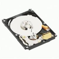 データストレージ Western Digital 250 GB Scorpio Blue 100 Mbs 5400 RPM 8 MB Cache BulkOEM Notebook Hard Drive - WD2500BEVE | SONIC