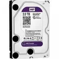 データストレージ Western Digital WD Purple Harddisk 3.5" 2TB SATA3 6Gbs IntelliPower 5400RPM 64 MB HDD Surveillance WD20PURX | SONIC