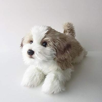 シーズー犬 リアル ぬいぐるみのおすすめ人気商品一覧 通販