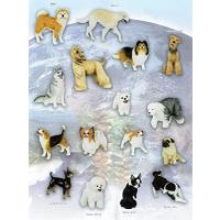 アフガン・ハウンド（本、雑誌、コミック）のおすすめ人気商品