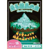 ノベルティ 記念品　実験キット・光る結晶の山(12入)　 低学年/小学生 | 粗品・記念品・ノベルティのお店