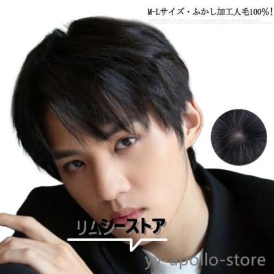 医療用ウィッグ（メンズアクセサリー）（色：ブラック系